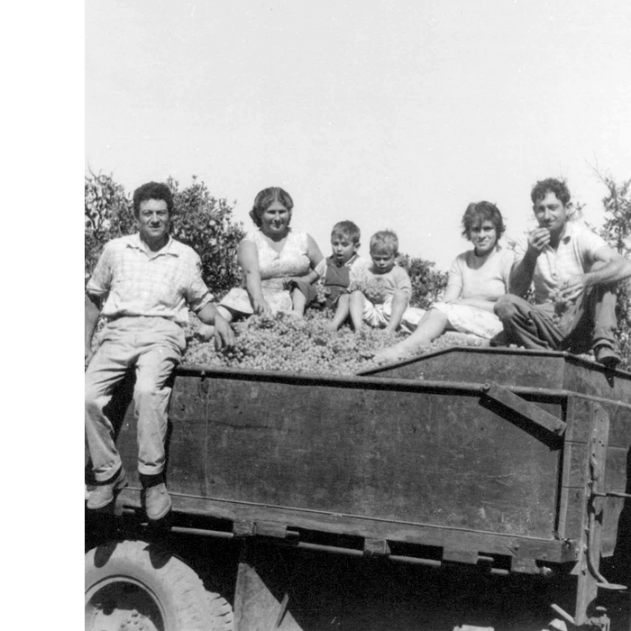 Eine Gruppe von sechs Personen sitzt auf einem Wagen voller Trauben, umgeben von Bäumen und einem klaren Himmel.